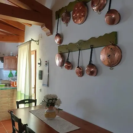 Alice House - - Garden Apartment *
