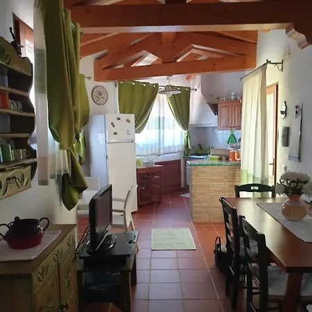 Apartment Alice House - - Garden