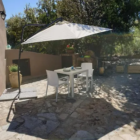 Apartment Alice House - - Garden *