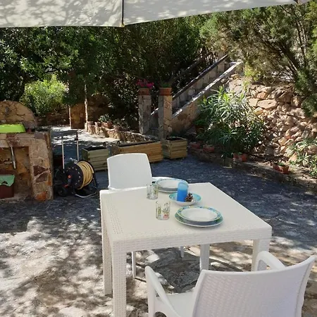 Apartment Alice House - - Garden *